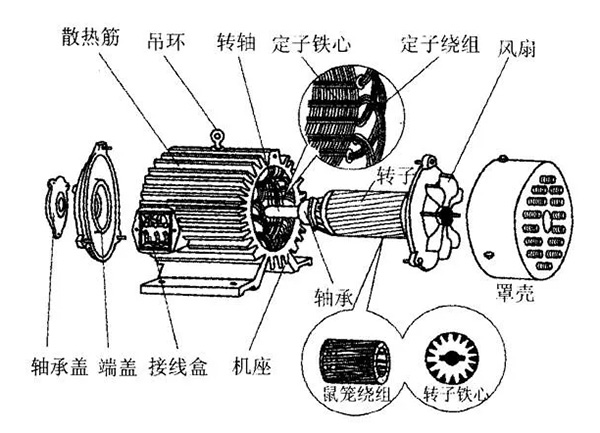 三相異步電動(dòng)機(jī)的六種分類方法及具體分類。